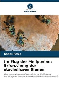 bokomslag Im Flug der Meliponine: Erforschung der stachellosen Bienen