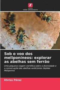 bokomslag Sob o voo dos meliponíneos