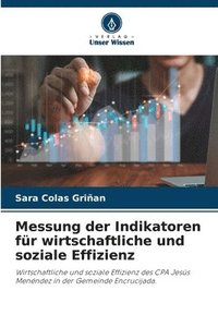 bokomslag Messung der Indikatoren für wirtschaftliche und soziale Effizienz