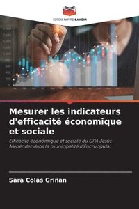 bokomslag Mesurer les indicateurs d'efficacité économique et sociale