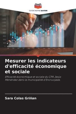 bokomslag Mesurer les indicateurs d'efficacité économique et sociale
