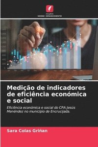 bokomslag Medição de indicadores de eficiência económica e social