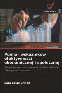 bokomslag Pomiar wska?ników efektywno?ci ekonomicznej i spolecznej