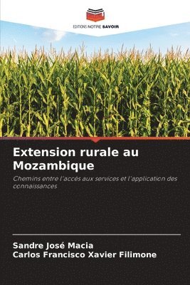 bokomslag Extension rurale au Mozambique