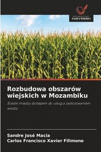 bokomslag Rozbudowa obszarów wiejskich w Mozambiku