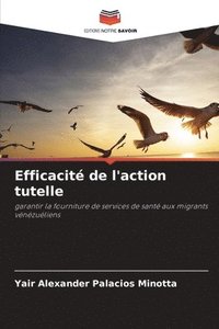 bokomslag Efficacité de l'action tutelle