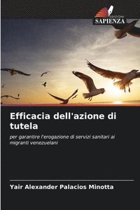 bokomslag Efficacia dell'azione di tutela