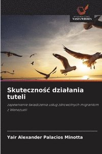 bokomslag Skuteczno?c dzialania tuteli