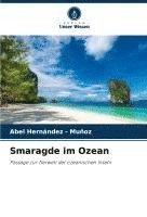 bokomslag Smaragde im Ozean