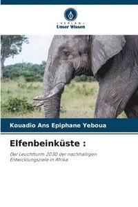 bokomslag Elfenbeinküste