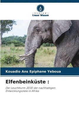 bokomslag Elfenbeinküste