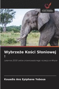 bokomslag Wybrze?e Ko?ci Sloniowej