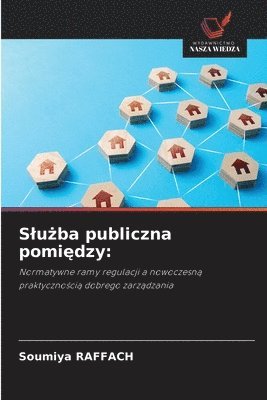 bokomslag Slu?ba publiczna pomi?dzy