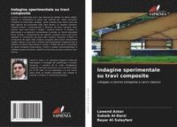 bokomslag Indagine sperimentale su travi composite