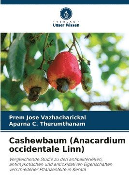 bokomslag Cashewbaum (Anacardium occidentale Linn)