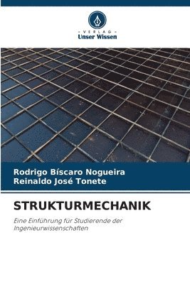 bokomslag Strukturmechanik