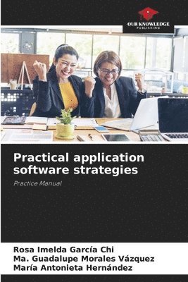 bokomslag Practical application software strategies