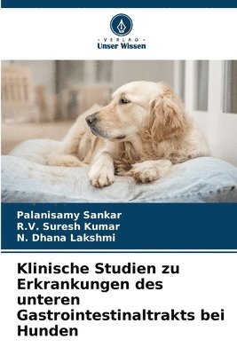 bokomslag Klinische Studien zu Erkrankungen des unteren Gastrointestinaltrakts bei Hunden