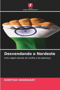 bokomslag Desvendando o Nordeste