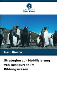 bokomslag Strategien zur Mobilisierung von Ressourcen im Bildungswesen
