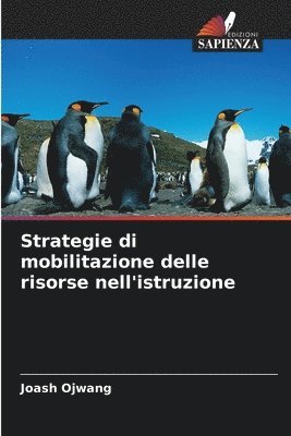 bokomslag Strategie di mobilitazione delle risorse nell'istruzione