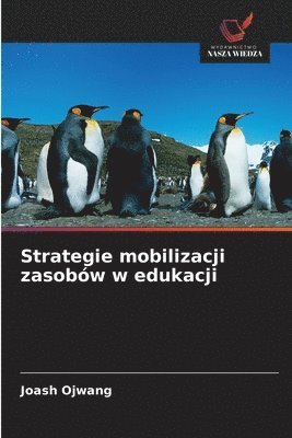 bokomslag Strategie mobilizacji zasobów w edukacji
