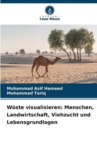 bokomslag Wüste visualisieren