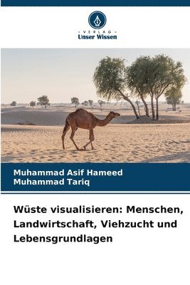 bokomslag Wüste visualisieren