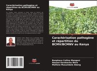 bokomslag Caractérisation pathogène et répartition du BCMV/BCMNV au Kenya