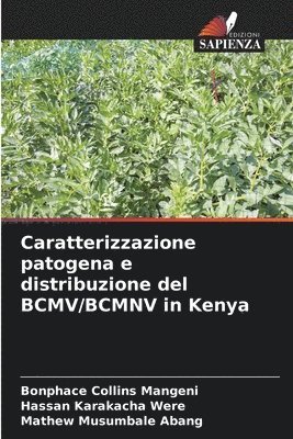 Bonphace Collins Mangeni, Hassan Karakacha Were, Mathew Musumbale Abang - Caratterizzazione patogena e distribuzione del BCMV/BCMNV in Kenya, Häftad