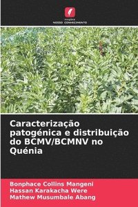 bokomslag Caracterização patogénica e distribuição do BCMV/BCMNV no Quénia