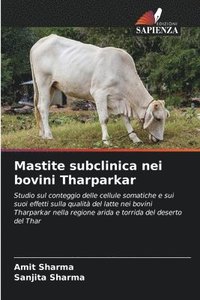 bokomslag Mastite subclinica nei bovini Tharparkar