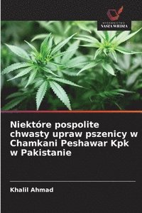 bokomslag Niektóre pospolite chwasty upraw pszenicy w Chamkani Peshawar Kpk w Pakistanie