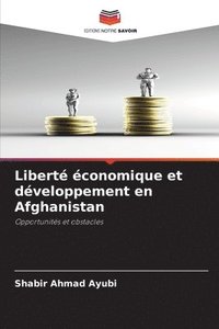 bokomslag Liberté économique et développement en Afghanistan