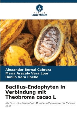 bokomslag Bacillus-Endophyten in Verbindung mit Theobroma cacao L