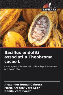 Bacillus endofiti associati a Theobroma cacao L