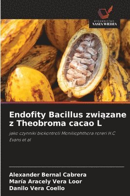 Endofity Bacillus związane z Theobroma cacao L