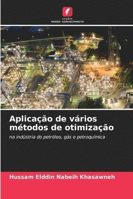 Hussam Elddin Nabeih Khasawneh - Aplicação de vários métodos de otimização, Häftad