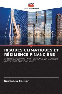 bokomslag Risques Climatiques Et Résilience Financière