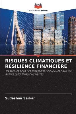 bokomslag Risques Climatiques Et Résilience Financière