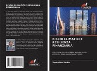 bokomslag RISCHI CLIMATICI E RESILIENZA FINANZIARIA