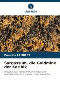bokomslag Sargassum, die Goldmine der Karibik