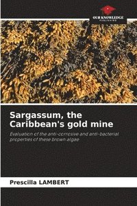 bokomslag Sargassum, the Caribbean's gold mine
