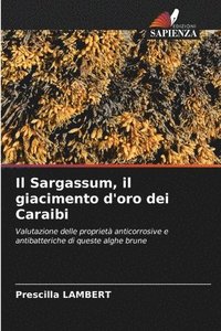 bokomslag Il Sargassum, il giacimento d'oro dei Caraibi