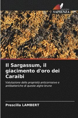 bokomslag Il Sargassum, il giacimento d'oro dei Caraibi