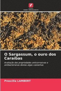 bokomslag O Sargassum, o ouro dos Caraíbas