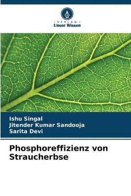bokomslag Phosphoreffizienz von Straucherbse