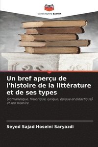 bokomslag Un bref aperçu de l'histoire de la littérature et de ses types
