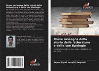 bokomslag Breve rassegna della storia della letteratura e delle sue tipologie