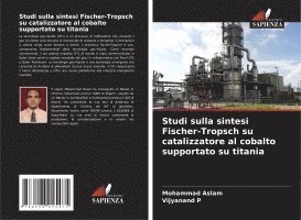 bokomslag Studi sulla sintesi Fischer-Tropsch su catalizzatore al cobalto supportato su titania